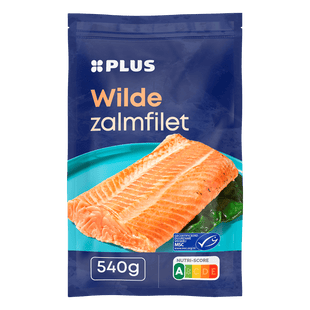 Wilde zalmfilet