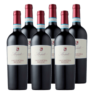 Villa Mondi Valpolicella Ripasso