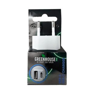 GreenMouse Dual-Wandladegerät – USB und USB-C