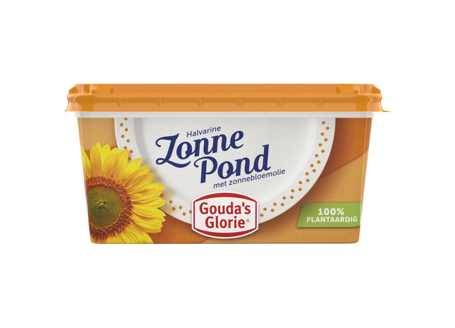 Gouda's Glorie Zonnepond