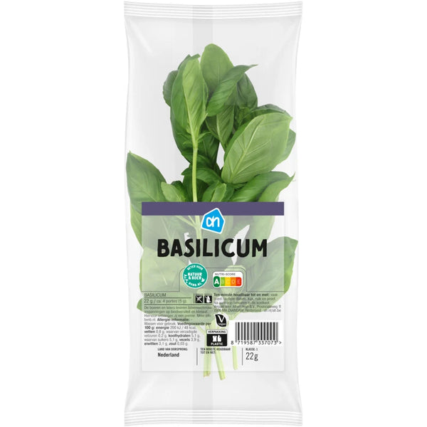 Basilicum