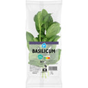 Basilicum