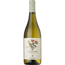 Cecchi Viognier