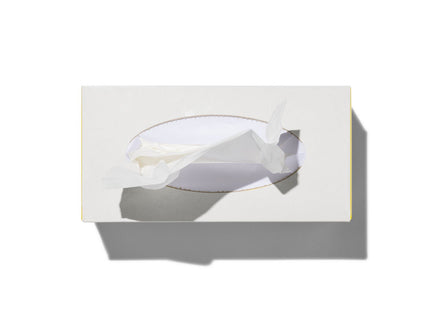 tissuebox 2-laags