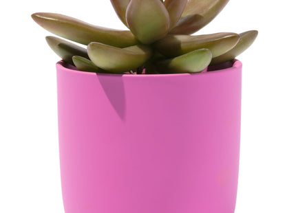 flower pot Ø6x6.5 earthenware pink