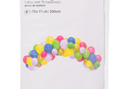 ballonnenboog 75x23cm 250cm regenboog