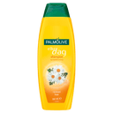 Palmolive Shampoo jeden Tag