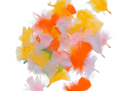 feathers - 100 pcs