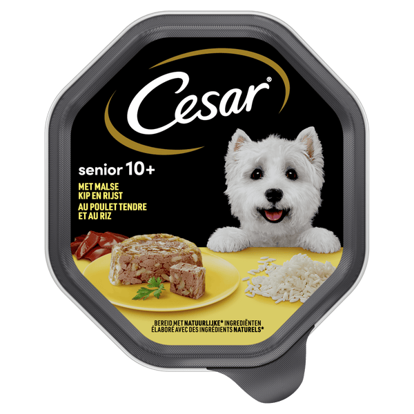 Cesar 10+ Senior Hundefutter mit Huhn und Reis