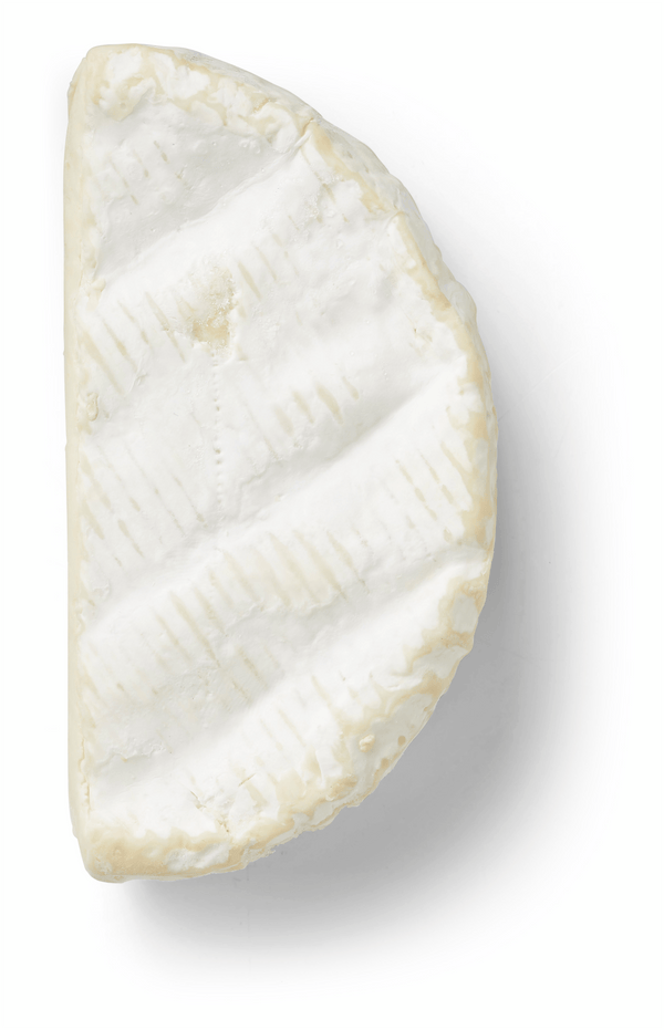 Camembert