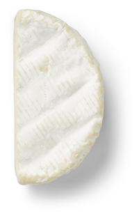 Camembert