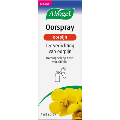 Mond, Auge & Ohr