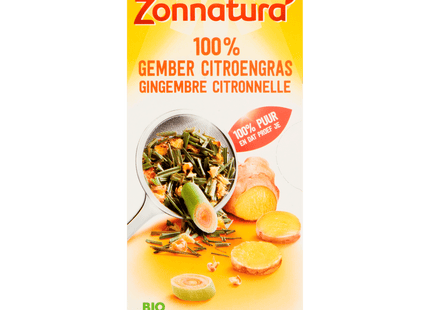 Zonnatura Tea ginger 100% organic