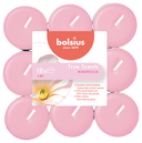 Bolsius Geurtheelicht true scents magnolia