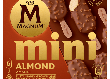 Magnum Mini ice cream Almond