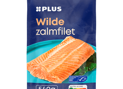 Wilde zalmfilet