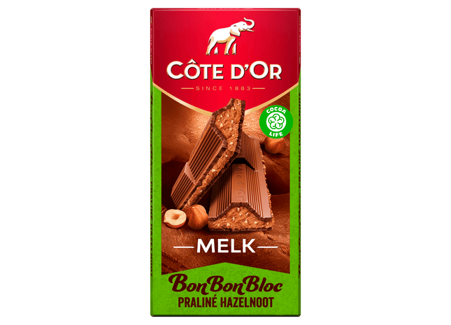 Côte d'Or BonBonBloc chocolade praliné hazelnoot