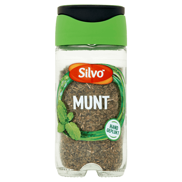 Silvo Münze