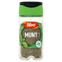 Silvo Münze