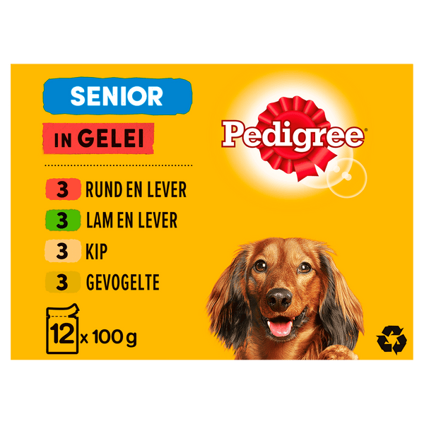 Pedigree Senior Meat in Jelly Dog Food