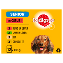 Pedigree Senior Meat in Jelly Dog Food