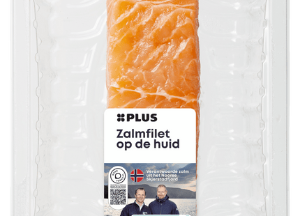 Zalmfilet op huid 1 portie