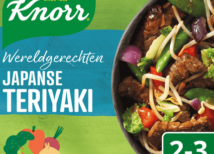 Knorr World dish Teriyaki