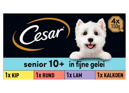 Cesar Senior 10+ Mix Dog Food
