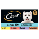 Cesar Senior 10+ Gemischtes Hundefutter