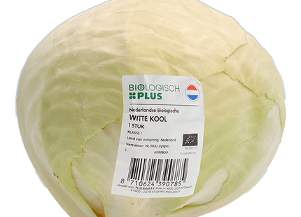 Organic White cabbage organic