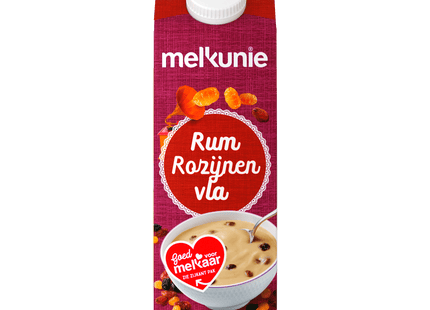 Melkunie Fruit custard rum-raisins