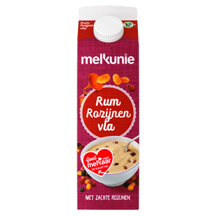 Melkunie Fruit Pudding Rum-Rosinen