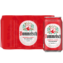 Dommelsch Pale Beer