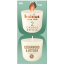 Bolsius Clean Light Refill Pack of 2 Cedarwood