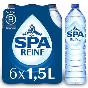 Spa Reine kohlensäurehaltiges Mineralwasser