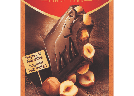 Côte d'Or Bloc chocolate bar pure hazelnuts