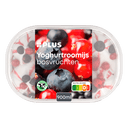 Yogurt ice cream forest fruits