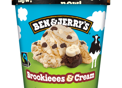 Ben&Jerry's Brookies and Cream