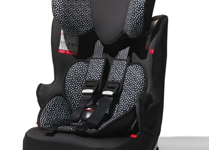 autostoel doorgroei 9-36kg Isofix zwart/witte stip  Dutchshopper