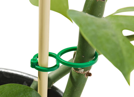 planten clips - 30 stuks  Dutchshopper