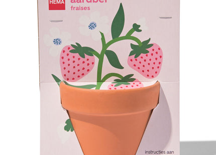 strawberries in pot Ø9cm