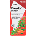 Salus Floradix Eisen Tabletten