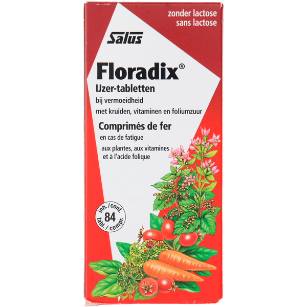 Salus Floradix Eisen Tabletten
