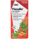 Salus Floradix Eisen Tabletten