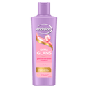 Andrélon Shampoo Extra Glans