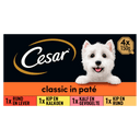Cesar Klassiker Geflügel Hundefutter