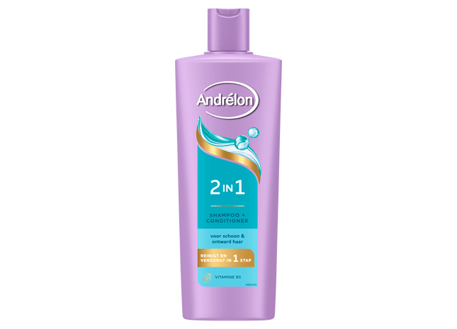 Andrélon Shampoo 2in1