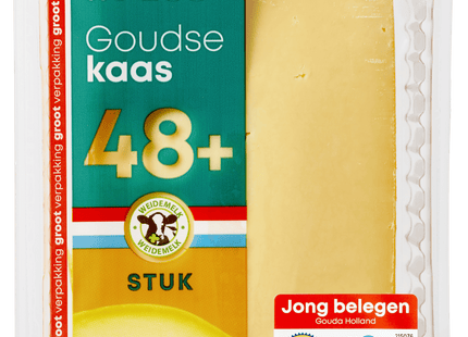 Goudse jong belegen 48+ stuk