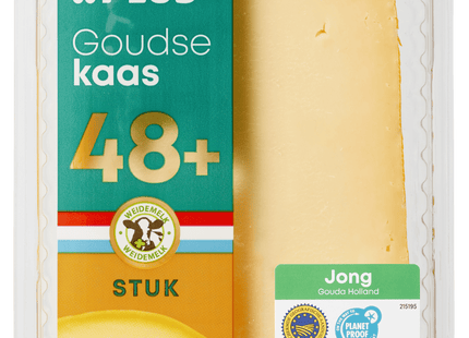 Goudse jong 48+ stuk