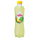 Spa Fruit bruisend lemon cactus